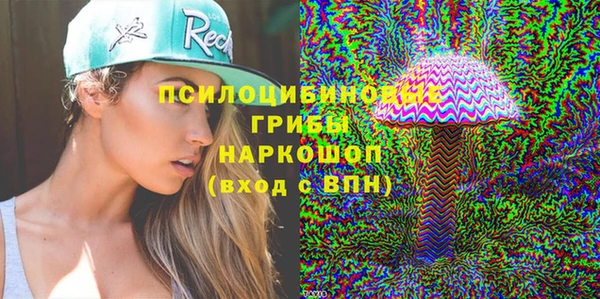 амф Дмитриев