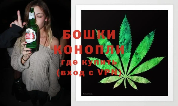 амф Дмитриев