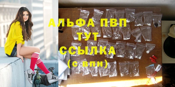 амф Дмитриев