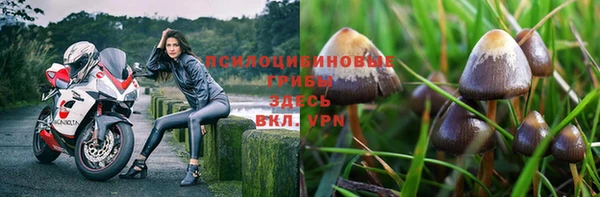 mdma Дмитровск