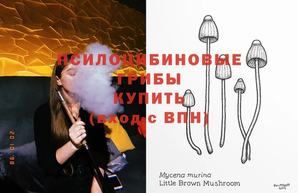 mdma Дмитровск