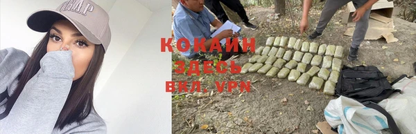 прущая мука Дмитров