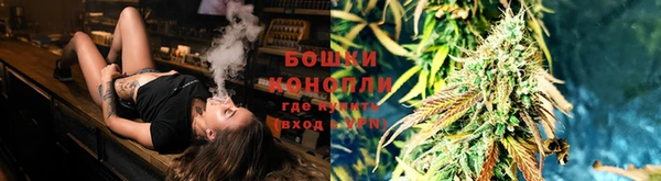 амф Дмитриев