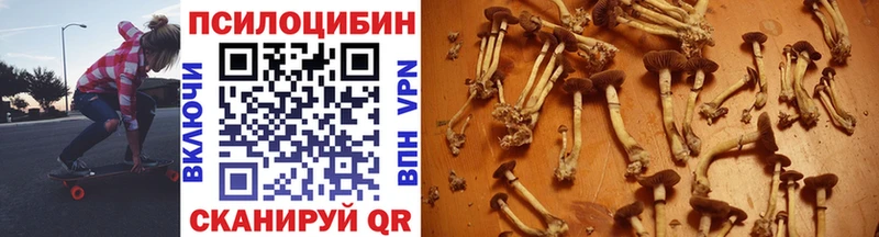 Купить где  Жуков  Галлюциногенные грибы GOLDEN TEACHER 